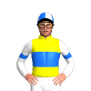 Jockey Silk