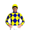 Jockey Silk
