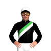 Jockey Silk