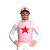Jockey Silk