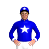 Jockey Silk