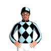 Jockey Silk