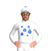 Jockey Silk
