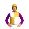 Jockey Silk