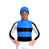 Jockey Silk