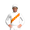Jockey Silk