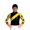 Jockey Silk