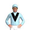 Jockey Silk