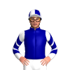 Jockey Silk