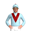 Jockey Silk