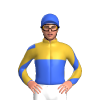 Jockey Silk