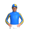 Jockey Silk