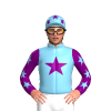 Jockey Silk