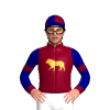 Jockey Silk