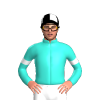 Jockey Silk