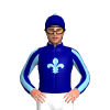 Jockey Silk