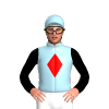 Jockey Silk