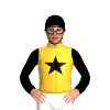 Jockey Silk