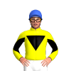 Jockey Silk