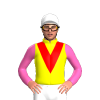 Jockey Silk