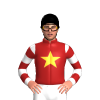 Jockey Silk