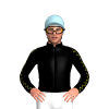 Jockey Silk