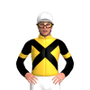 Jockey Silk