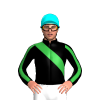 Jockey Silk