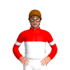 Jockey Silk