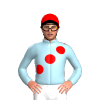 Jockey Silk