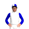 Jockey Silk