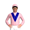Jockey Silk