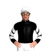 Jockey Silk
