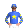 Jockey Silk