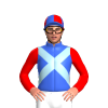 Jockey Silk