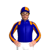 Jockey Silk