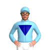 Jockey Silk