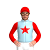 Jockey Silk