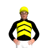 Jockey Silk