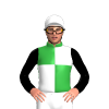 Jockey Silk