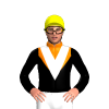 Jockey Silk