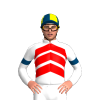 Jockey Silk