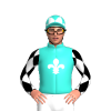 TURQUOISE, WHITE FLEUR DE LYS, WHITE AND BLACK DIAMONDS SLEEVES, TURQUOISE CAP, WHITE DIAMONDS