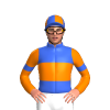 ROYAL BLUE, ORANGE BAND , SLEEVES, ROYAL BLUE ARMBANDS , ROYAL BLUE, ORANGE QUARTERED CAP