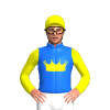 BLUE, YELLOW CROWN, SLEEVES, CAP