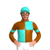 BROWN, TURQUOISE QUARTERS, ARMBANDS,CAP