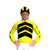 YELLOW, BLACK CHEVRONS, YELLOW SLEEVES, BLACK DIAMOND STRIPE, BLACK CAP, YELLOW STRIPES
