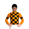 ORANGE, BLACK CHECKS, ARMBANDS,CAP