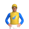 GOLD, BLUE FERN, SLEEVES