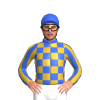 ROYAL BLUE & GOLD CHEQUERS, STRIPED SLEEVES & ROYAL BLUE CAP